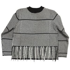 Haute Rogue Fringe Cropped Houndstooth Sweater Size: L